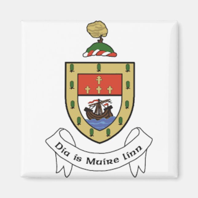 Irland County Mayo Magnet (Framsidan)