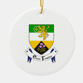 Irland County Offaly jul Ornament