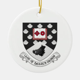 Irland County Sligo jul Ornament