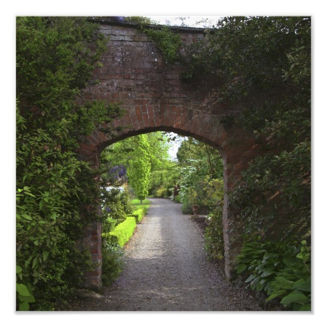 Irland, Dromoland Castle mycket grönt Fototryck (Framsidan)