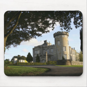 Irland, Dromoland Castle sidoingång. Musmatta