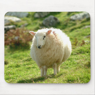 Irland får Mousepad Musmatta