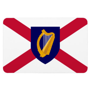 Irland flaggamagnet - kor & harpan skyddar magnet