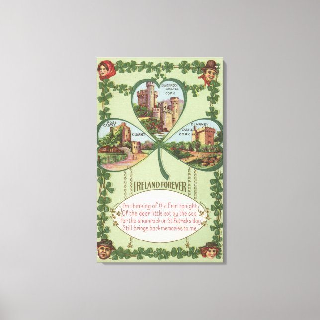 Irland Forever - Kork och Killarney Castles Canvastryck (Framsida)
