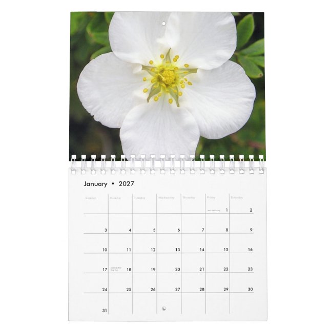 Irland i blomkalender kalender (Jan 2027)