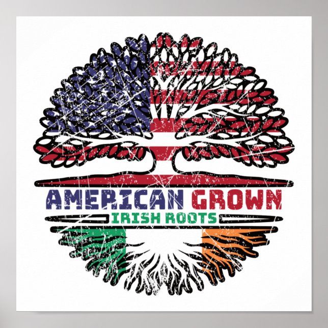 Irland Irländska USA Förenta staterna Förenta Stat Poster (Framsidan)