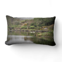 Irland, Kork, Sjö, Svanar, Fotografi