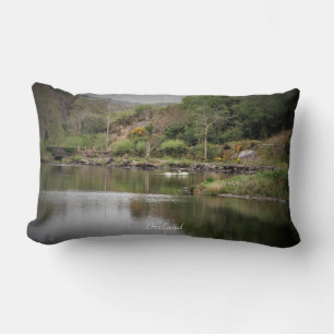 Irland, Kork, Sjö, Svanar, Fotografi Lumbarkudde
