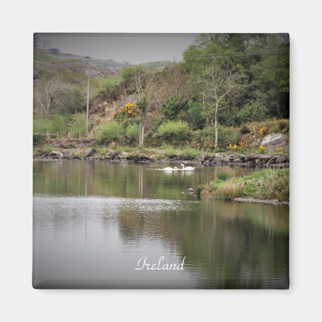 Irland, Kork, Sjö, Svanar, Fotografi Magnet (Framsidan)