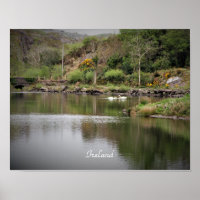 Irland, Kork, Sjö, Svanar, Fotografi