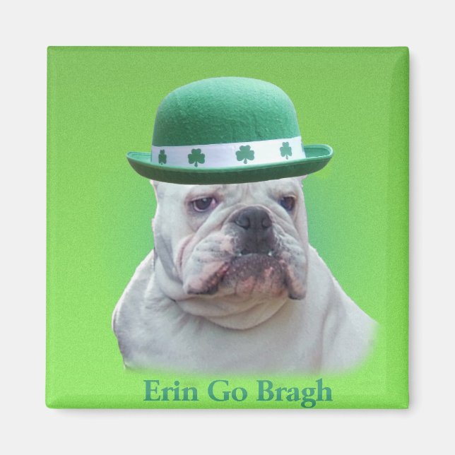 Irland Magnet (Framsidan)