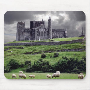 Irland Musmatta