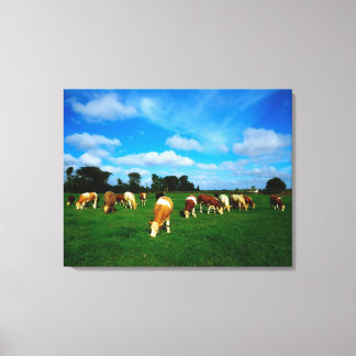 Irland, nötkreatursbesättning, bete canvastryck