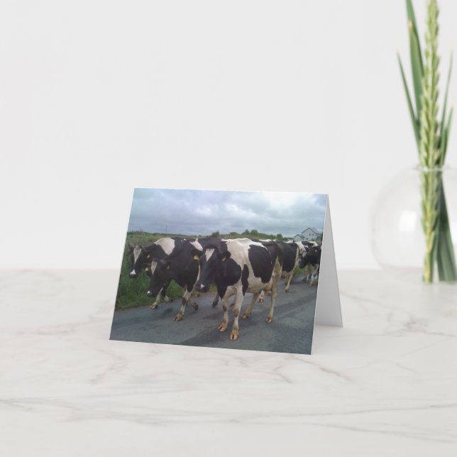 Irland Photo Kort (Framsida)