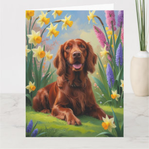 Irland röd setter hund vårblommor tavla  kort