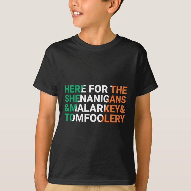 Irländare här för bus och rackartyg t shirt (Framsida)