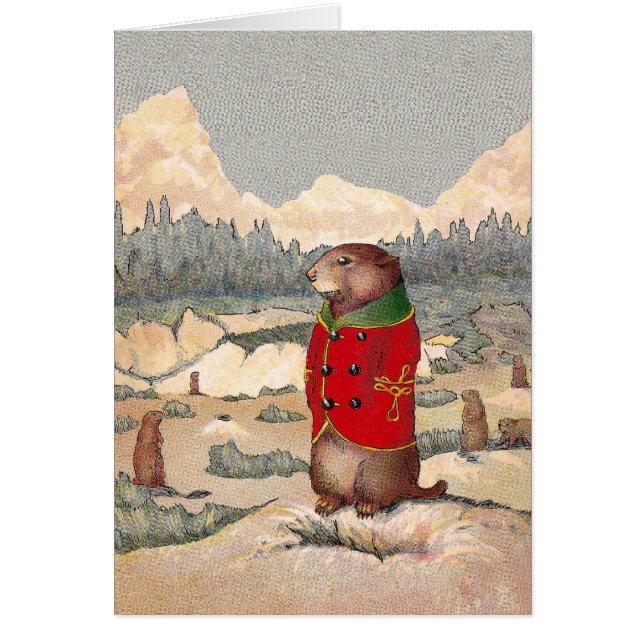 Irländaretassar i präriehundTown Hälsningskort (Framsidan)