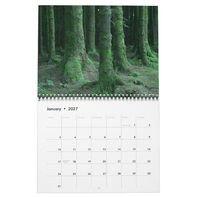 Irlands kalender (Jan 2027)
