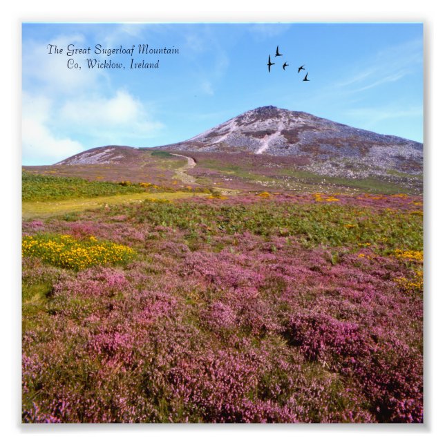 Irländsk bild för NullValue-Photo-Utvidgning Fototryck (Framsidan)