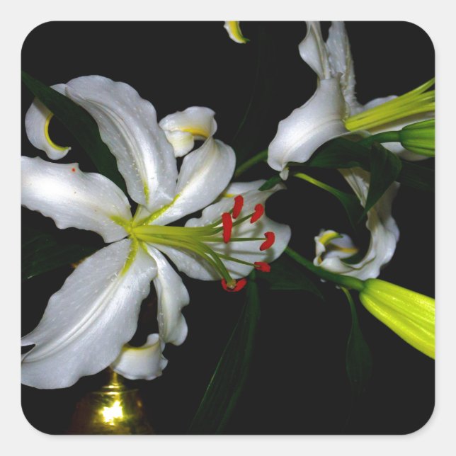 Irländsk design för märken och blommor (Framsida)