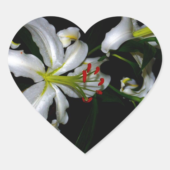 Irländsk design för märken och blommor (Framsida)