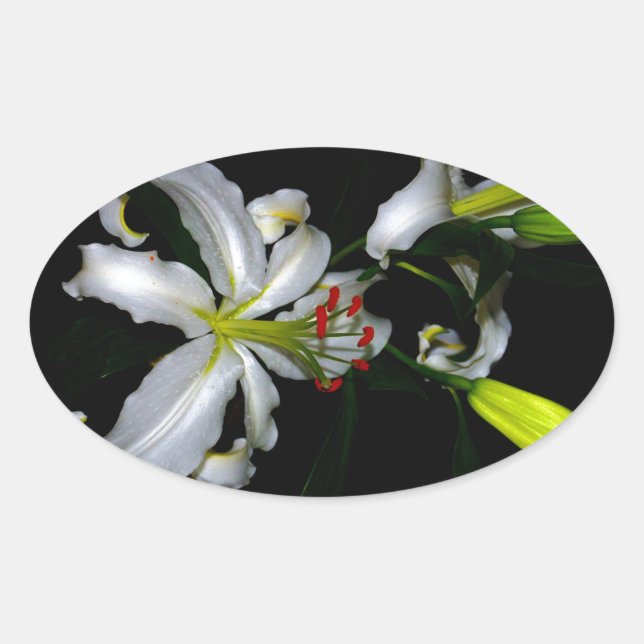 Irländsk design för märken och blommor (Framsida)