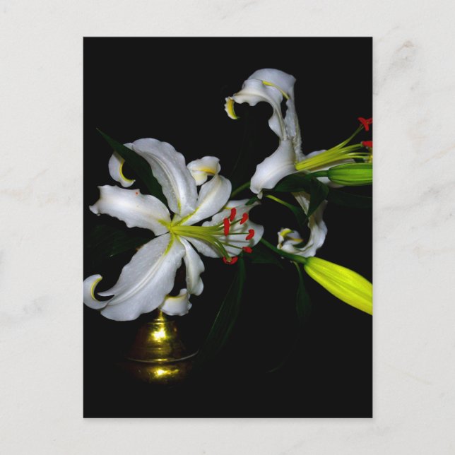 Irländsk design för märken och blommor vykort (Framsida)