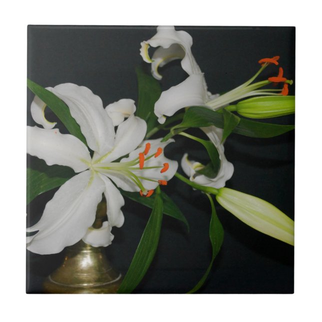 Irländsk design-Mässing och blommig samling Kakelplatta (Framsidan)