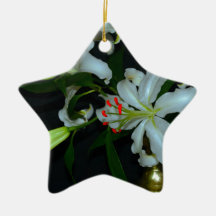 Irländsk design-Mässing och blomsamling