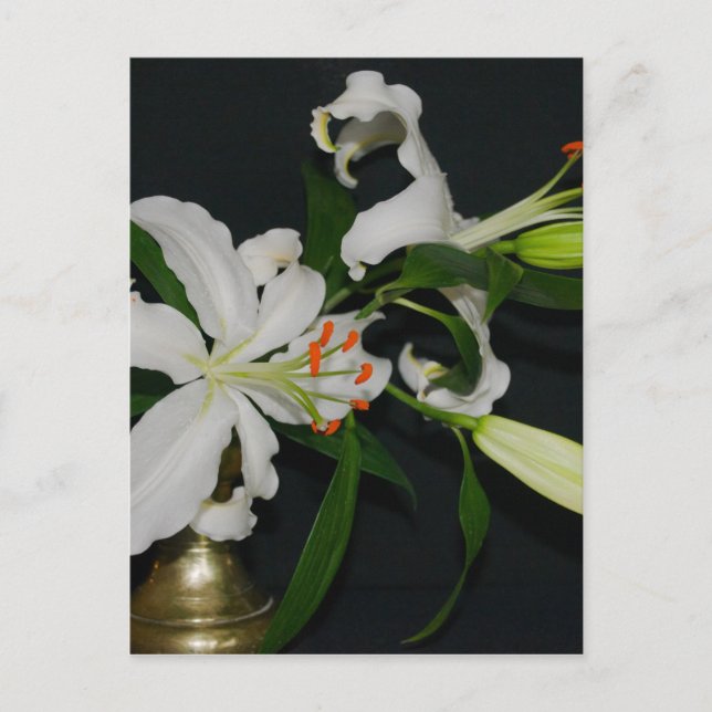 Irländsk design-Mässing och blomsamling Vykort (Framsida)