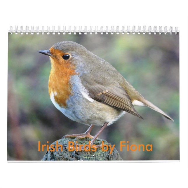 Irländsk fågelkalender kalender (Omslag)