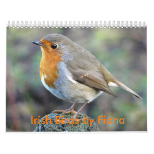 Irländsk fågelkalender kalender