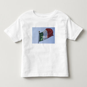 Irländsk flagga t-shirt
