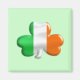 Irländsk flaggaklöver magnet