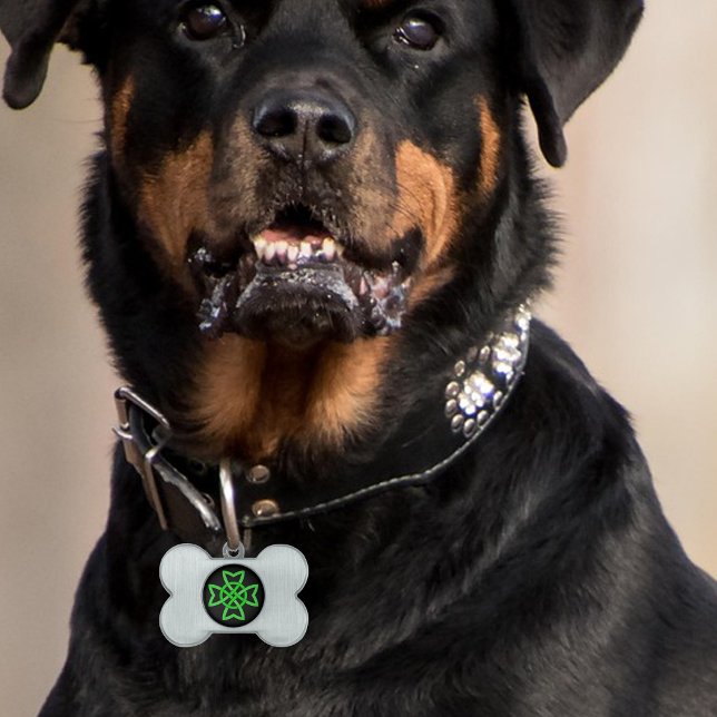 Irländsk grön keltisk knut namnbricka husdjur (Vibrant green Irish Celtic knot design on black on bone shaped pet tag.)