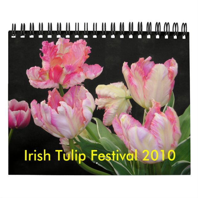 Irländsk kalender för tulpanfestival 2010 (Omslag)