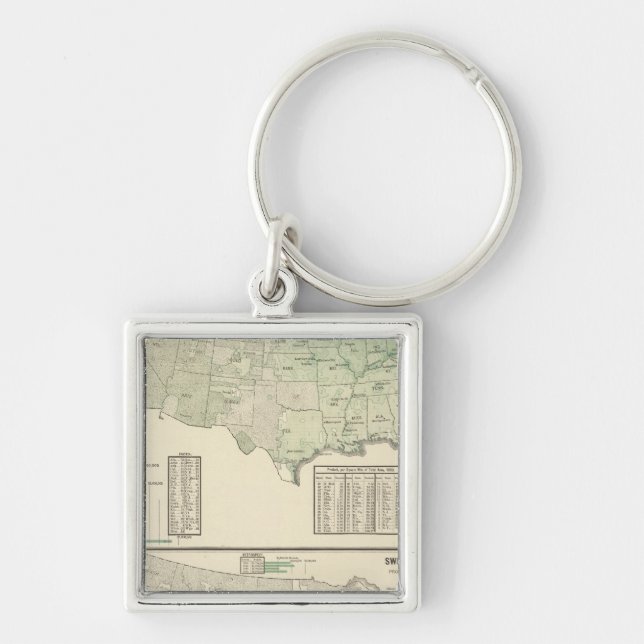 Irländsk och söt potatis och hö fyrkantig silverfärgad nyckelring (Framsidan)