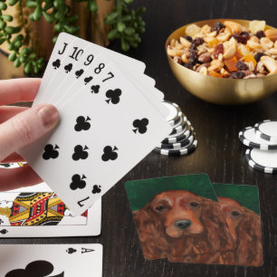 Irländsk röd setter casinokort