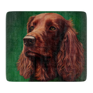 Irländsk röd setter hund i St. Patricks dag dräkt