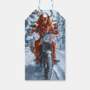 Irländsk röd setter hund som kör motorcykel jul presentetikett