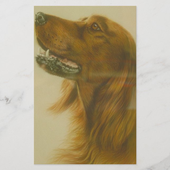 Irländsk röd Setterhund Brevpapper (Framsida)