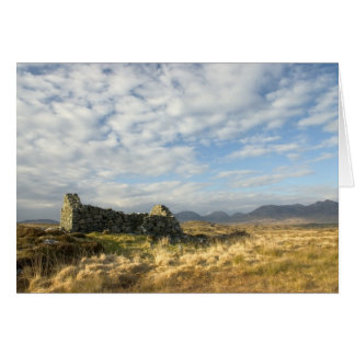 Irländsk ruinering hälsningskort