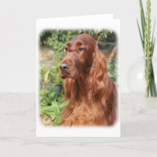 Irländsk Setter 9Y209D-090 Kort