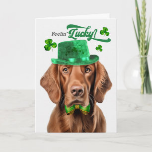 Irländsk Setter Hund Lucky St Patrick's Day Helgkort
