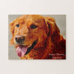 Irländsk Setter Hund. Pussel
