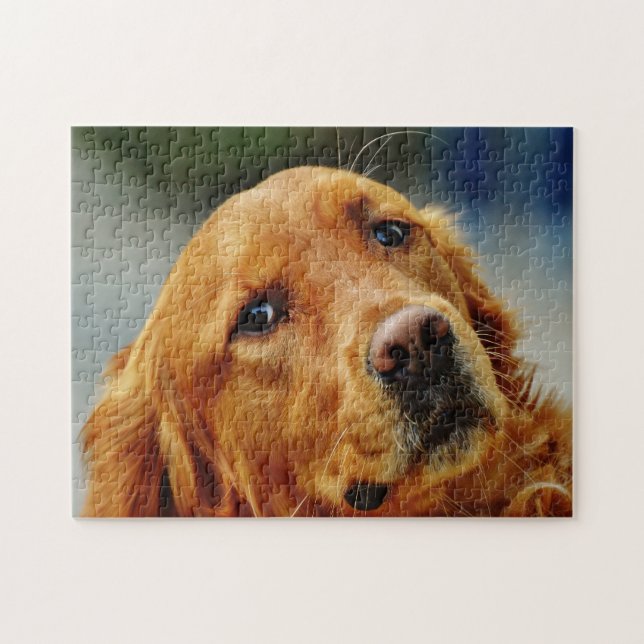 Irländsk Setter Hund. Pussel (Horisontell)