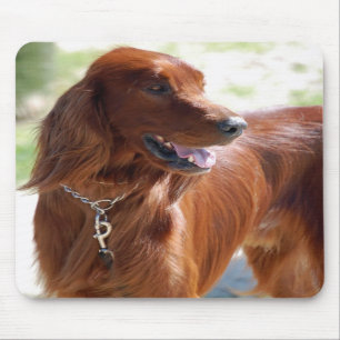 Irländsk Setter Mousepad Musmatta