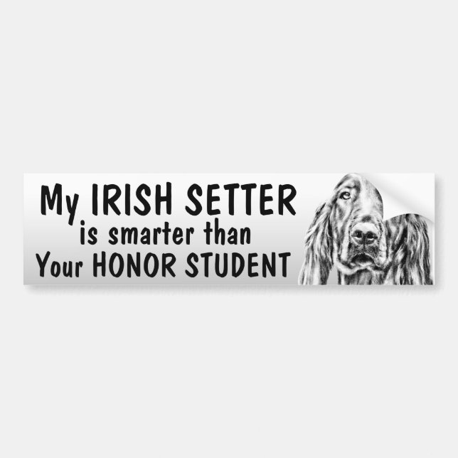 Irländsk Setter - som är mer smart än hederstudent Bildekal (Framsidan)