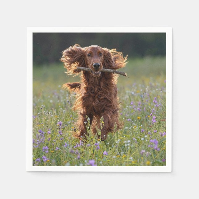 Irländsk Setter springer med en pinne Pappersservett (Framsidan)