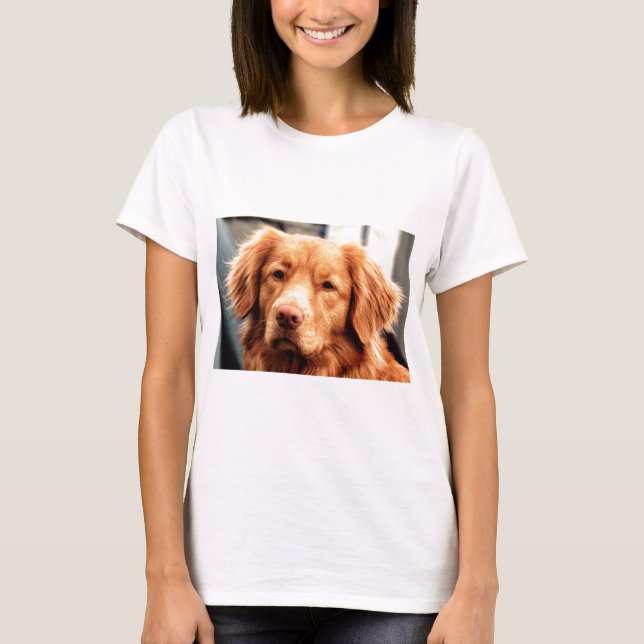 Irländsk Setter T-shirt (Framsida)